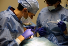 Implantacja zębów u palących pacjentów